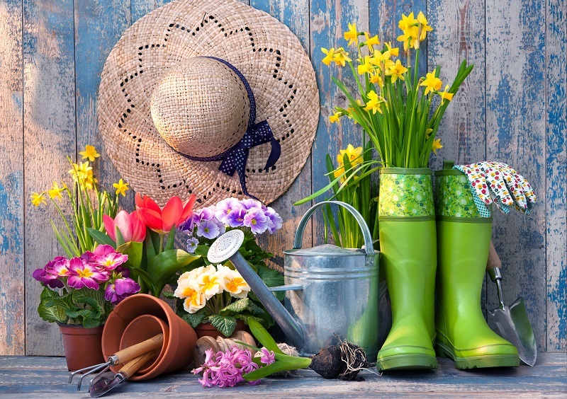 Boost Your Floral Longevity with These Easy Methods